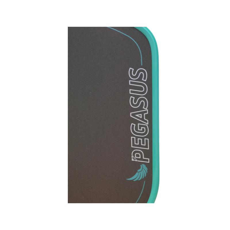Chargez l'image dans la visionneuse de la galerie, Image d'une raquette de pickleball 11SIX24 Pegasus Power 2.
